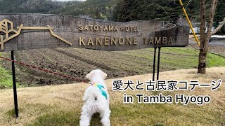 【Vlog】愛犬と泊まれる古民家コテージが素敵だった！【里山ホテルかねのね丹波】