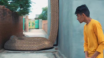 Anaconda snake in real life A short film