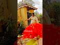 Thank you ilanji sarees for the beautiful saree #shortvideos#shortsfeed#saree#sareelove#viral#shorts