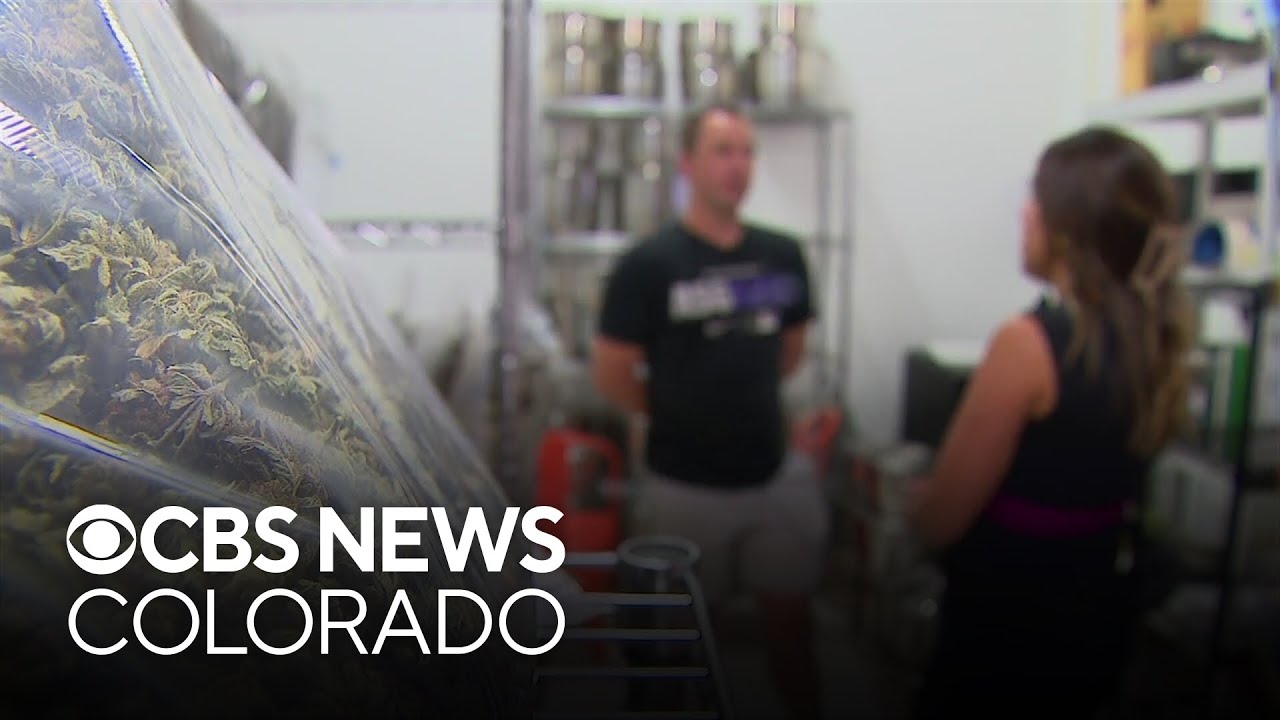 Video shows teens trying to break into Colorado marijuana facility