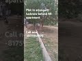plot in arjunganj lucknow sai data marg behind mi apartment #plotforsaleinarjunganj : 8175965975