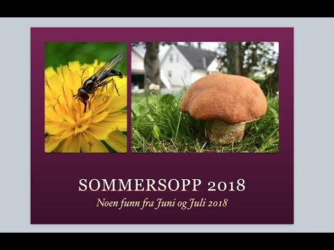 Video: Sommersopp Nær Huset