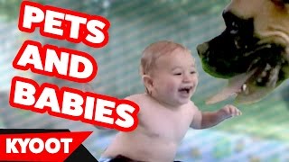The Funniest Cute Pets and Babies Play Together Home Videos Weekly Compilation | Kyoot Animals