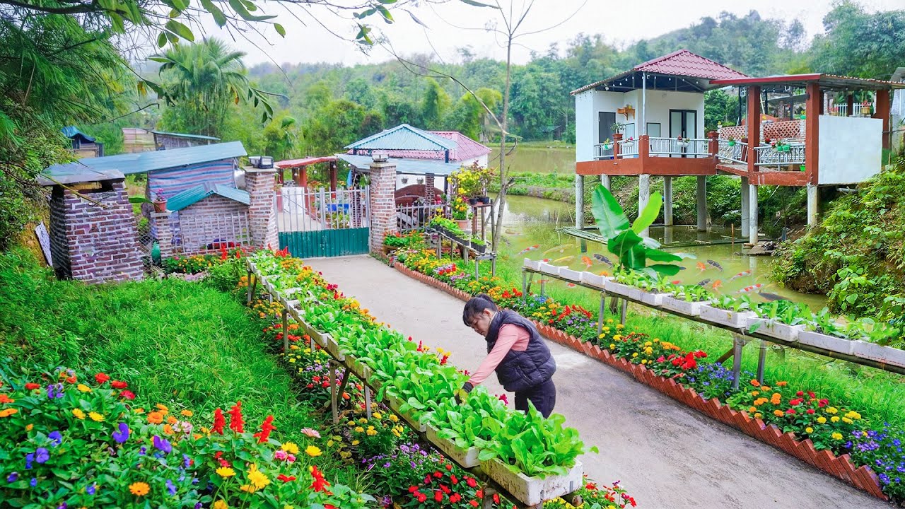 Building a Peaceful Vegetable Garden Using Foam Boxes Beside a Countryside Pond Step by Step
