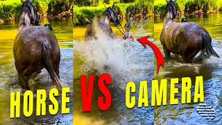 Horse Decided to Kick the Water at the Camera