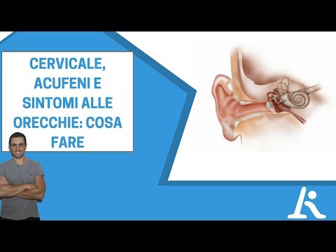 Video: Il rumore può peggiorare l'acufene?