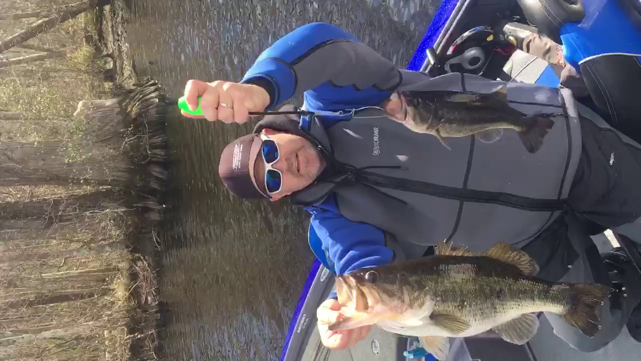 Nice 5lb Cull in Chowan River, NC Bass for Cash Series Tournament YouTube