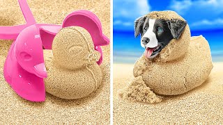 Encontrei um filhote de cachorro na praia 🐶😍 Dicas inteligentes para donos de animais de estimação