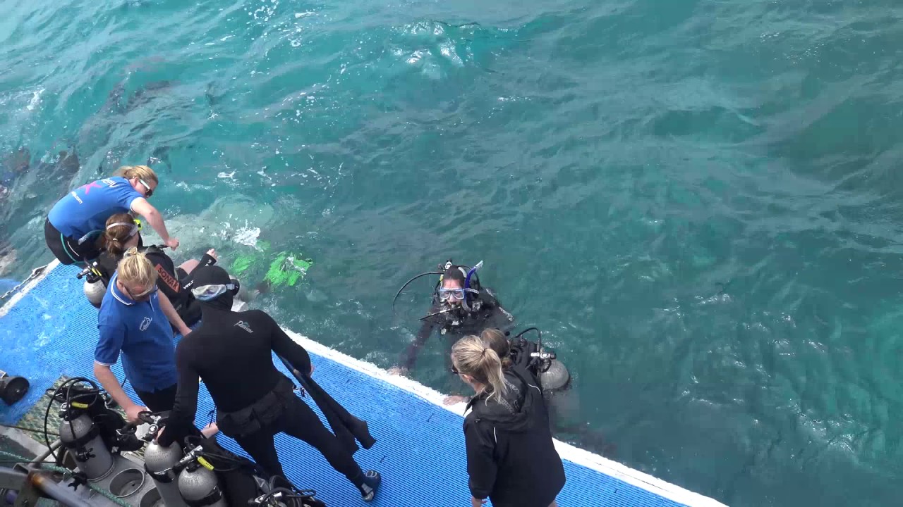 Introductory Scuba Dive