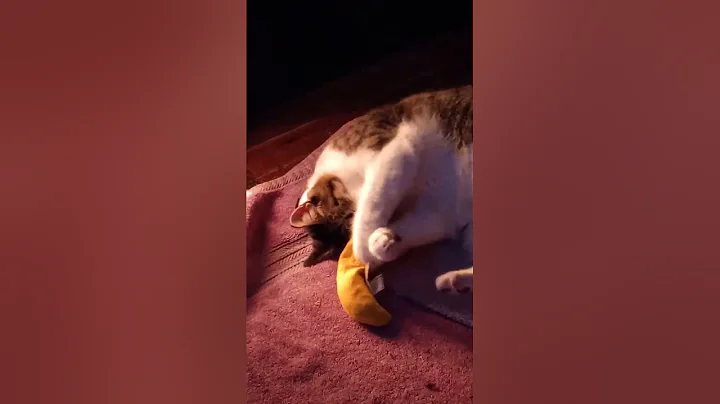 Lilman and his banana!