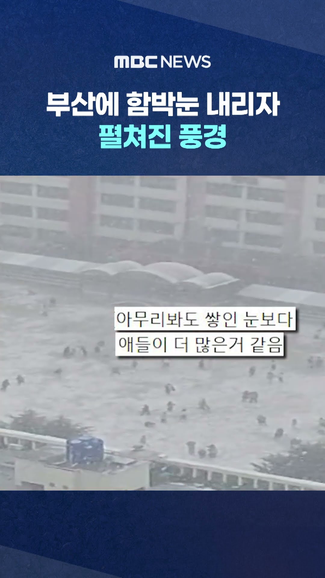 부산에 함박눈 내리자 펼쳐진 풍경 #Shorts (MBC뉴스)