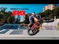 Marco y Lucas BMX .5 years old