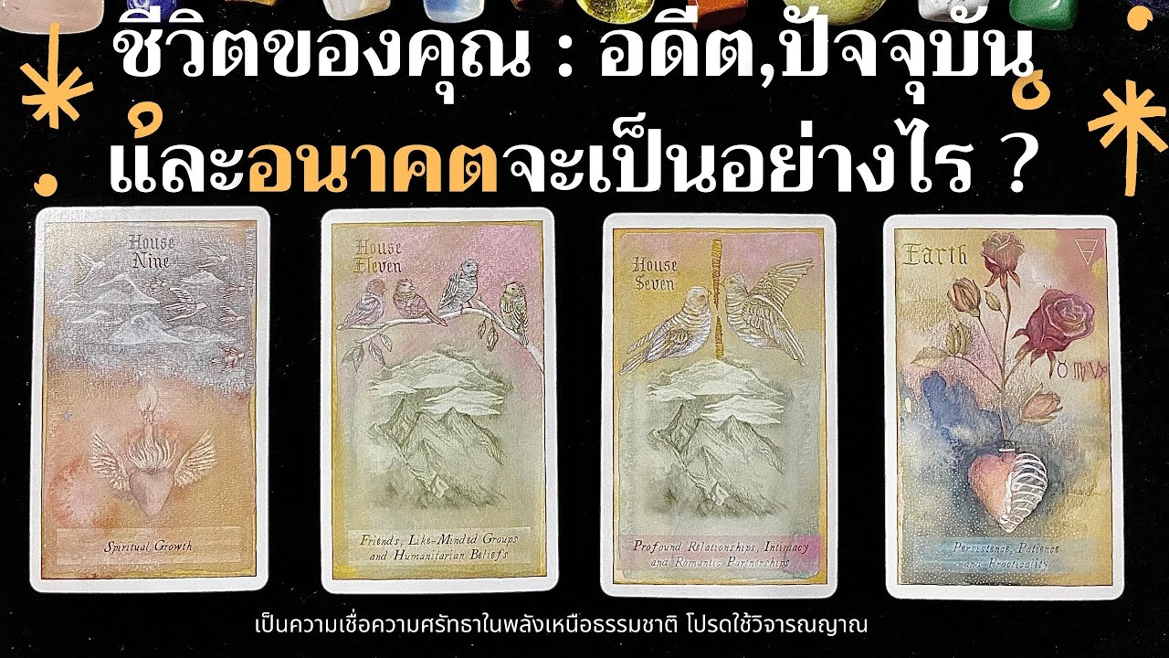 สเตตัสคนโสด  New Update  ชีวิตคุณของคุณ : อดีต,ปัจจุบัน และอนาคตจะเป็นอย่างไร ? ✨??✨ | Pick a card