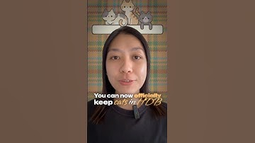 HDB now allows 2 cats per flat from Sept 2024 — here’s what every cat owner must know!