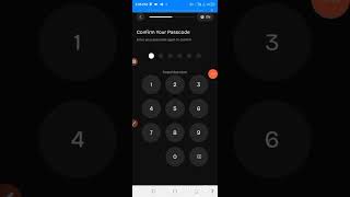 Celia Update How To Open Wallet And Send Your Celia Token