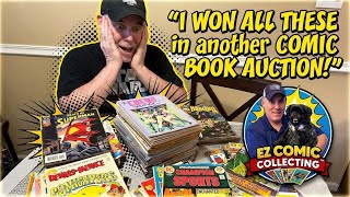 Huge Comic Book Auction Score!