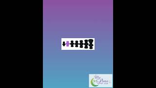Domino Pads Petite Medium Cloth MINI Pad in Minky