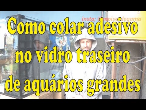 Como Colar Adesivo no Vidro Traseiro de Aquarios Grandes - YouTube