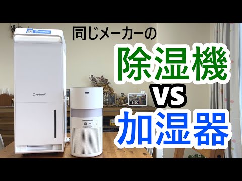 なんちゃんチャンネル - YouTube