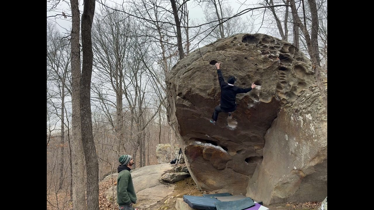 Rattlesnake Ferry Direct