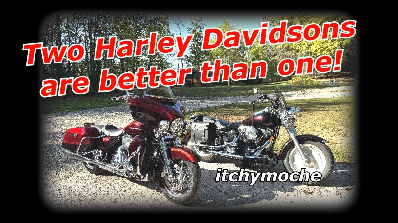 Два Харлея лучше, чем один!
