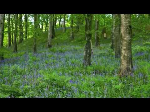 oh how lovely was the morning youtube in reverence david tolk sheet music