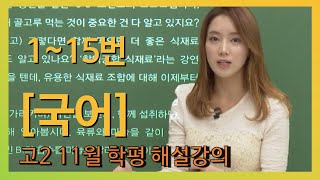 [2019 고2 11월 학평 해설강의] 국어- 정미나의 불국어 풀이(1~15번)