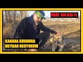 KANADA KURDUNA MEYDAN OKUYORUM / BAHİS 2 KATI   (canada wolf vs turkish kangal) #kangal #kanadakurdu