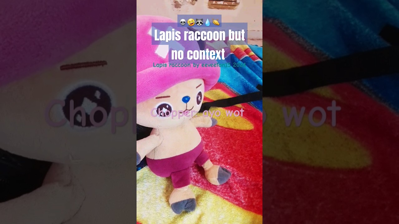 Lapis raccoon but no context 