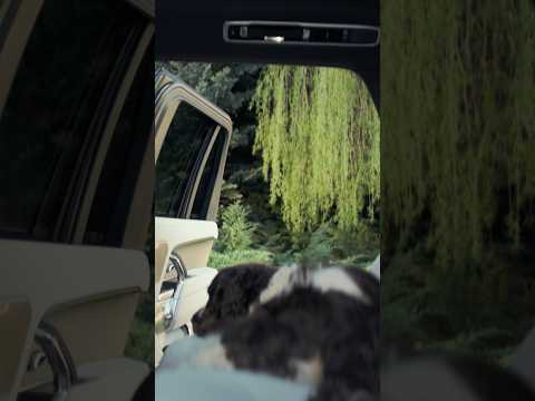 Range Rover Electric | A Timeless Comfort