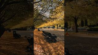 Just a reminder, this is how Regent’s Park will look like soon.. 🍁 #londoner #shortsvideo