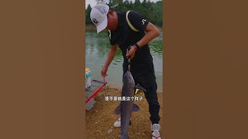 I caught the big fish🐟 Carp fishing🎣 Best fishing video #shorts #fishing