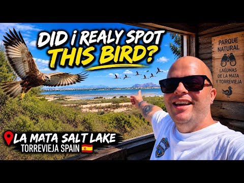 La Mata Salt Lake Torrevieja 🇪🇸 | Bird Watching in Spain