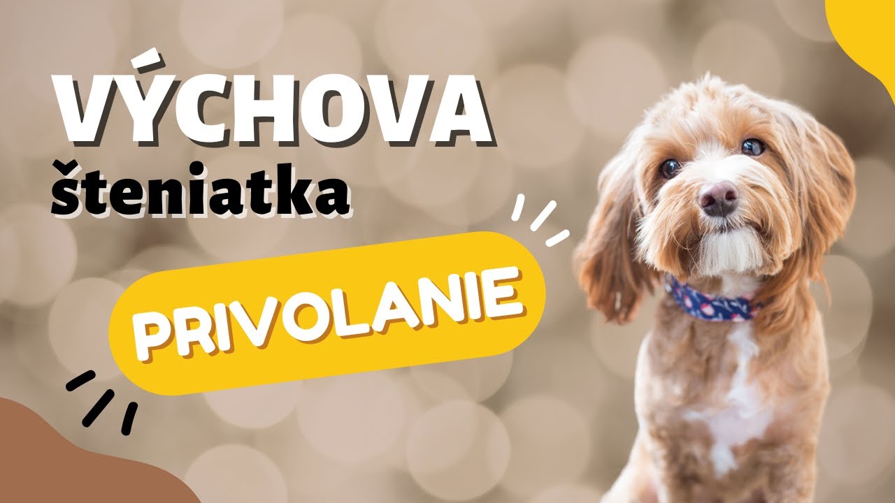 Ako naučiť psa reagovať na MENO | CANISLOG Slovakia