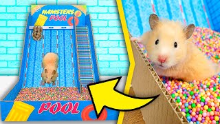 The bigges pool for hamster with a slide | DIY