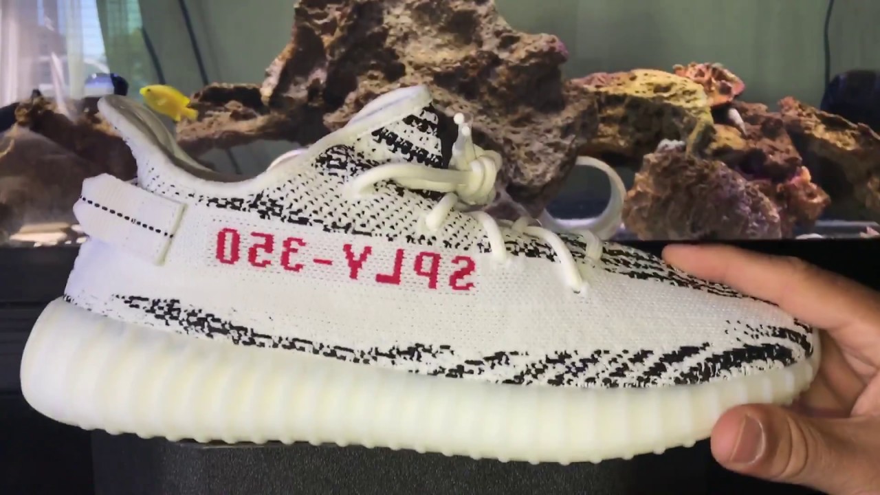 Adidas x Yeezy 350 Boost V2 &quot;Zebra&quot; Legit Check - YouTube