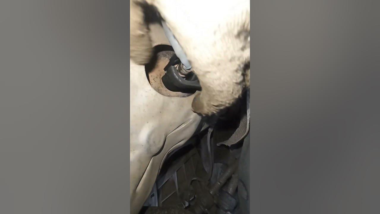 как открутить лямбда зонд на киа рио 3