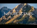 Waiting Room Video Loop | Nature Scenes, Professional Calm Ambience