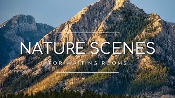 Waiting Room Video Loop | Nature Scenes, Professional Calm Ambience