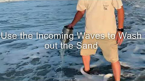 E Z Scoop for Sand Fleas or Mole Crabs