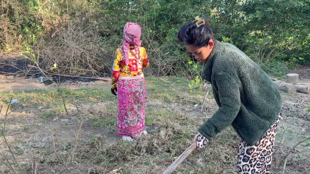 I'm helping my dad collect firewood at the rice field