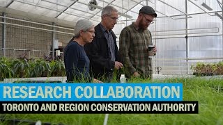 Research Collaboration – Humber & Toronto and Region Conservation Authority