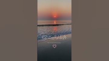قرآن #قران_كريم  #تلاوة_خاشعة Quran Karim #غزة #فلسطين #subscribe #like