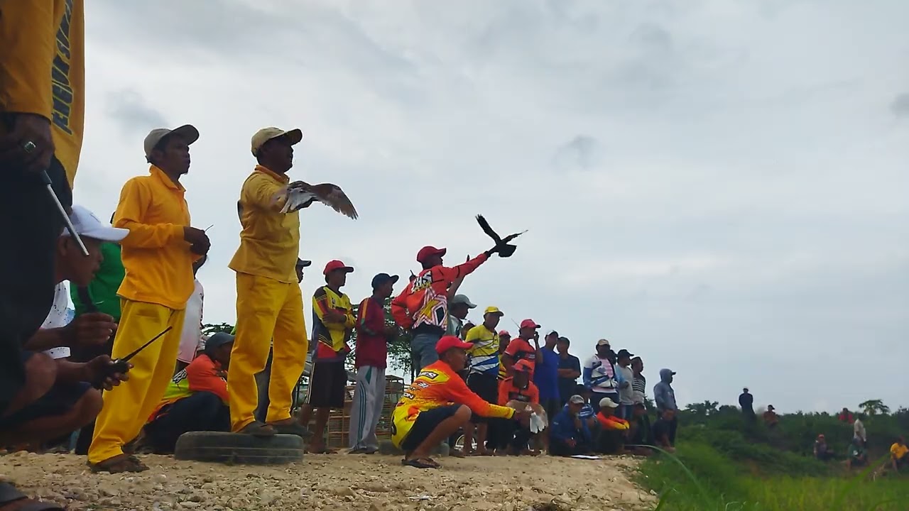 Rekap 5 lap gelugur buangan A... Jum'at 09-jan-2026