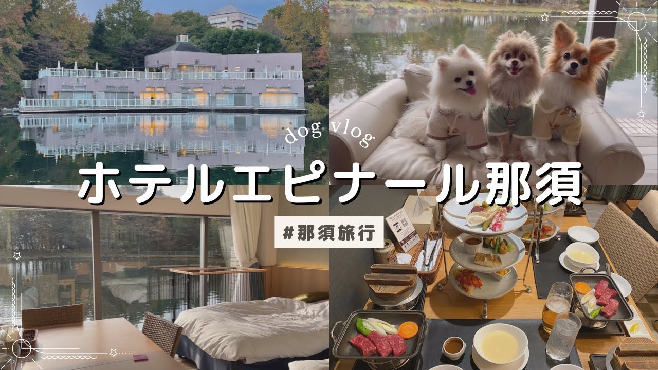 【那須旅行】1日限定6室の水辺に浮かぶ客室🫧｜ホテルエピナール那須