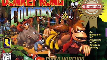 How do you get Diddy Kong on Donkey Kong's back switch?