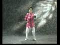Qi Gong Shibashi (2 parte 1 serie)