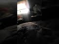 JDG May 23rd 2021 3:52 pm