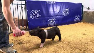Lot 3 : 13-2 Cross Gilt