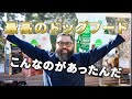 【ドッグフード紹介】OPEN FARMのドッグフードって凄すぎない?何が凄いのか教えましょう